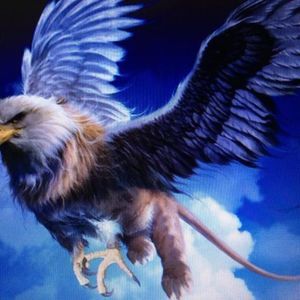 Meet your Posher, Griffan